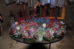 Gérone fête des fleurs - Souterrain de la cathédrale