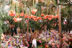 Gérone fête des fleurs - Dans l'église St Luc