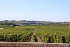 Vignoble bordelais