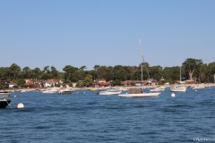 Le cap Ferret